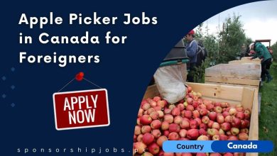 Apple Picker Jobs in Canada for Foreigners