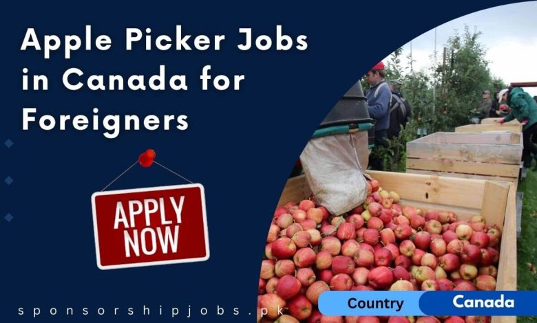 Apple Picker Jobs in Canada for Foreigners