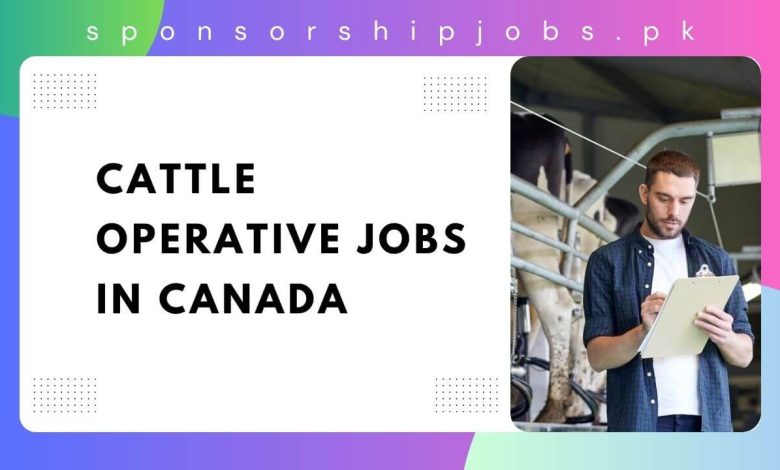 Cattle Operative Jobs in Canada