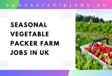 Seasonal Vegetable Packer Farm Jobs in UK