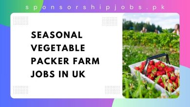 Seasonal Vegetable Packer Farm Jobs in UK