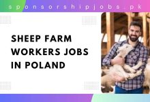 Sheep Farm Workers Jobs in Poland