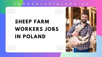 Sheep Farm Workers Jobs in Poland