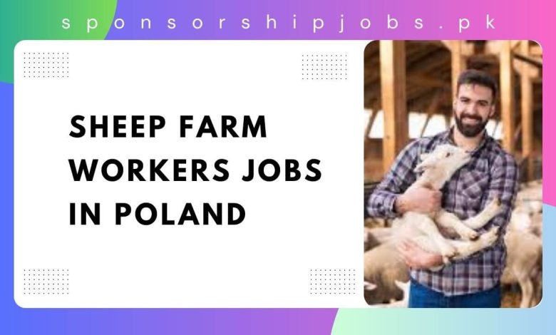 Sheep Farm Workers Jobs in Poland