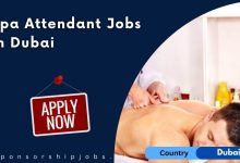 Spa Attendant Jobs in Dubai