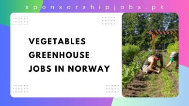 Vegetables Greenhouse Jobs in Norway