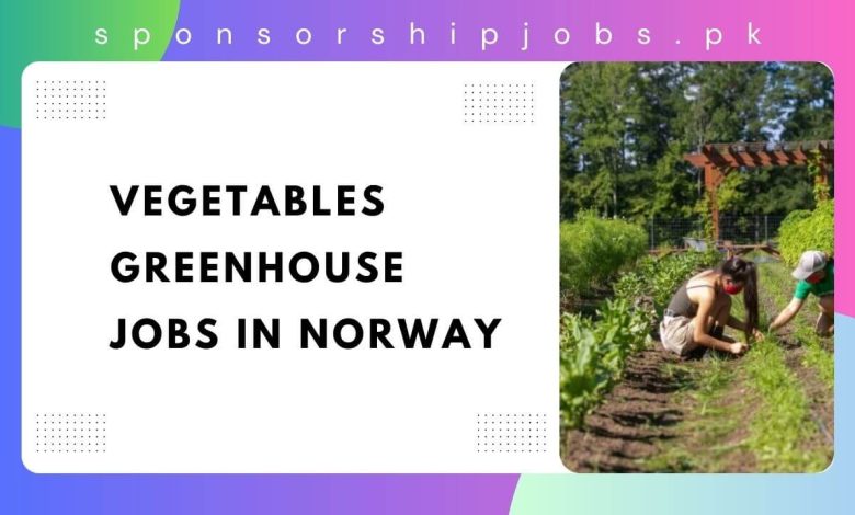 Vegetables Greenhouse Jobs in Norway