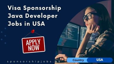 Visa Sponsorship Java Developer Jobs in USA