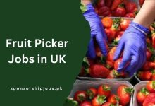 Fruit Picker Jobs in UK