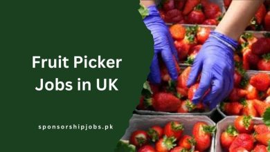 Fruit Picker Jobs in UK