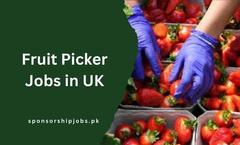 Fruit Picker Jobs in UK