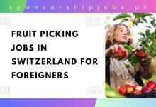 Fruit Picking Jobs in Switzerland for Foreigners
