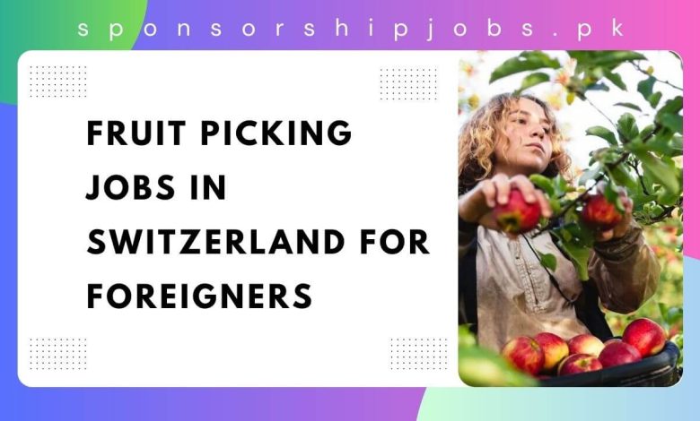 Fruit Picking Jobs in Switzerland for Foreigners