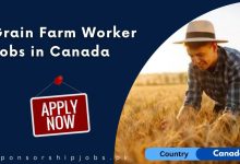 Grain Farm Worker Jobs in Canada