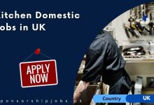 Kitchen Domestic Jobs in UK