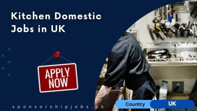 Kitchen Domestic Jobs in UK