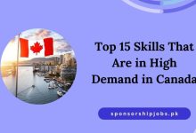 Top 15 Skills That Are in High Demand in Canada