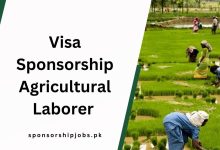 Visa Sponsorship Agricultural Laborer