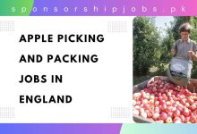 Apple Picking and Packing Jobs in England