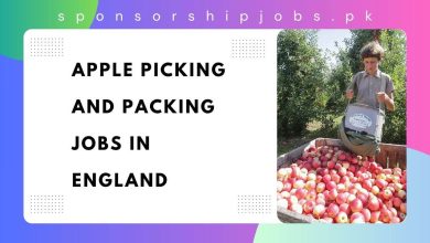 Apple Picking and Packing Jobs in England