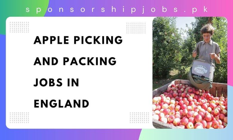 Apple Picking and Packing Jobs in England