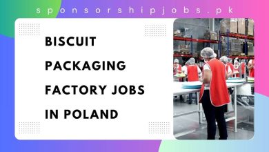 Biscuit Packaging Factory Jobs in Poland