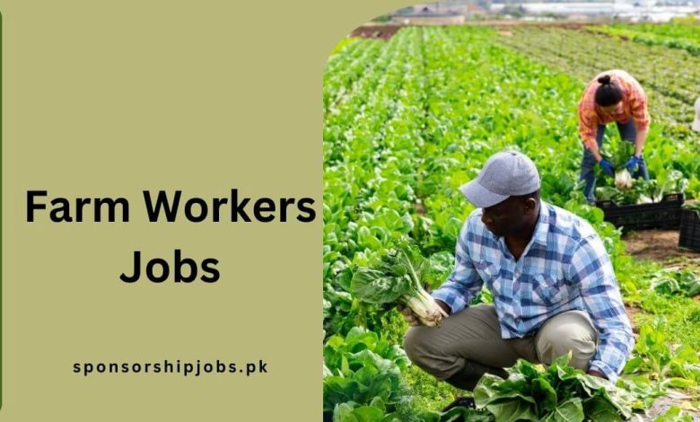 Farm Workers Jobs