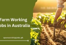 Farm Working Jobs in Australia