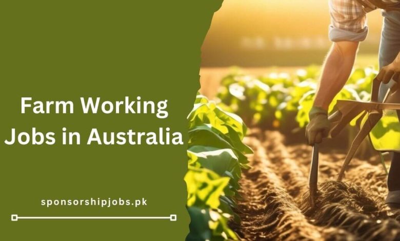 Farm Working Jobs in Australia