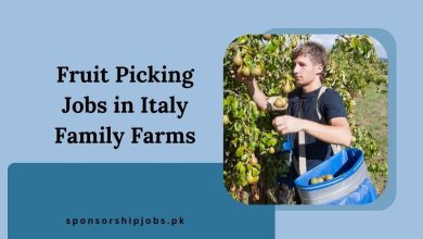 Fruit Picking Jobs in Italy Family Farms