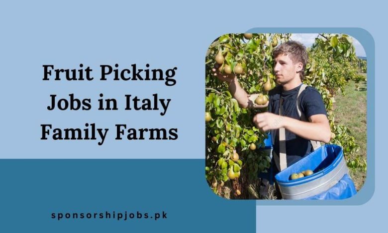 Fruit Picking Jobs in Italy Family Farms