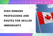 High-Demand Professions and Routes for Skilled Immigrants