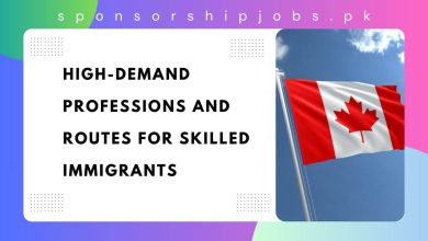 High-Demand Professions and Routes for Skilled Immigrants