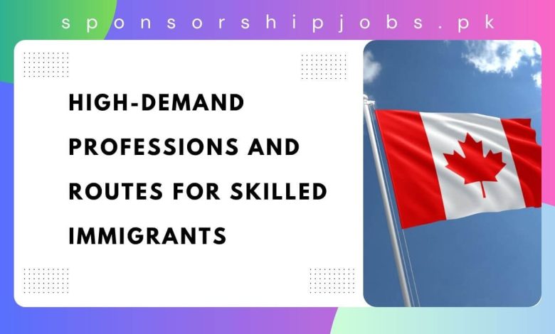 High-Demand Professions and Routes for Skilled Immigrants