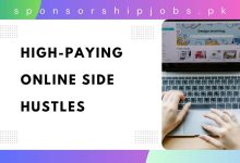 High-Paying Online Side Hustles
