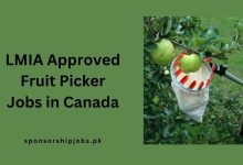 LMIA Approved Fruit Picker Jobs in Canada