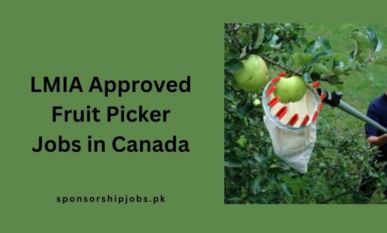 LMIA Approved Fruit Picker Jobs in Canada