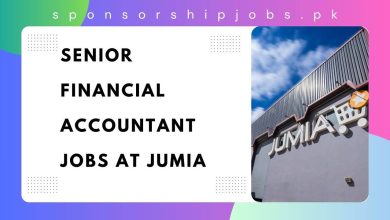 Senior Financial Accountant Jobs at Jumia