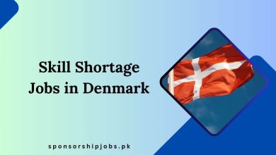 Skill Shortage Jobs in Denmark