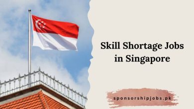 Skill Shortage Jobs in Singapore