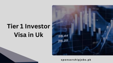 Tier 1 Investor Visa in Uk