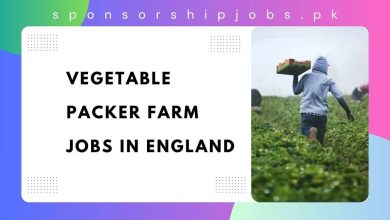 Vegetable Packer Farm Jobs in England