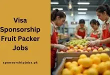 Visa Sponsorship Fruit Packer Jobs