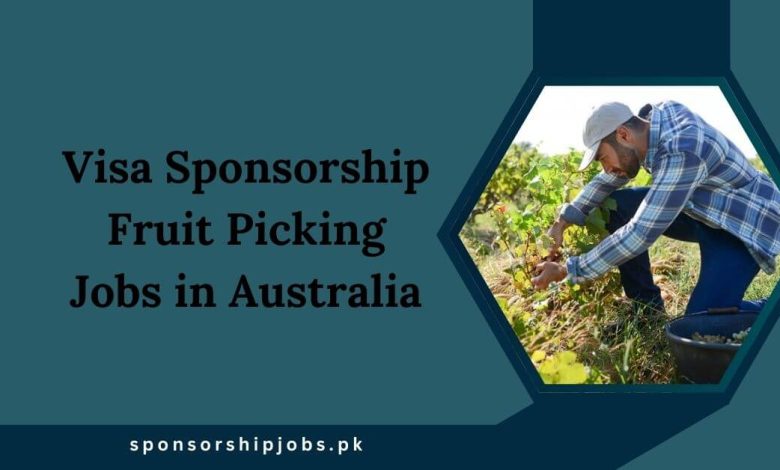 Visa Sponsorship Fruit Picking Jobs in Australia