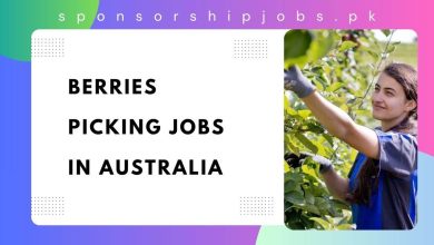 Berries Picking Jobs in Australia