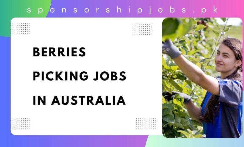 Berries Picking Jobs in Australia