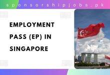 Employment Pass (EP) in Singapore