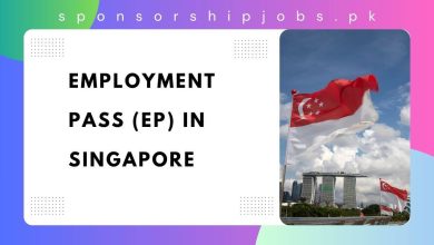 Employment Pass (EP) in Singapore