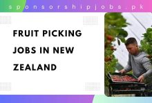 Fruit Picking Jobs in New Zealand