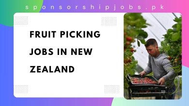 Fruit Picking Jobs in New Zealand